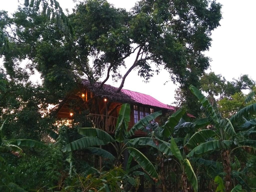 Habarana Ambasewana resort -Inn on the Tree House