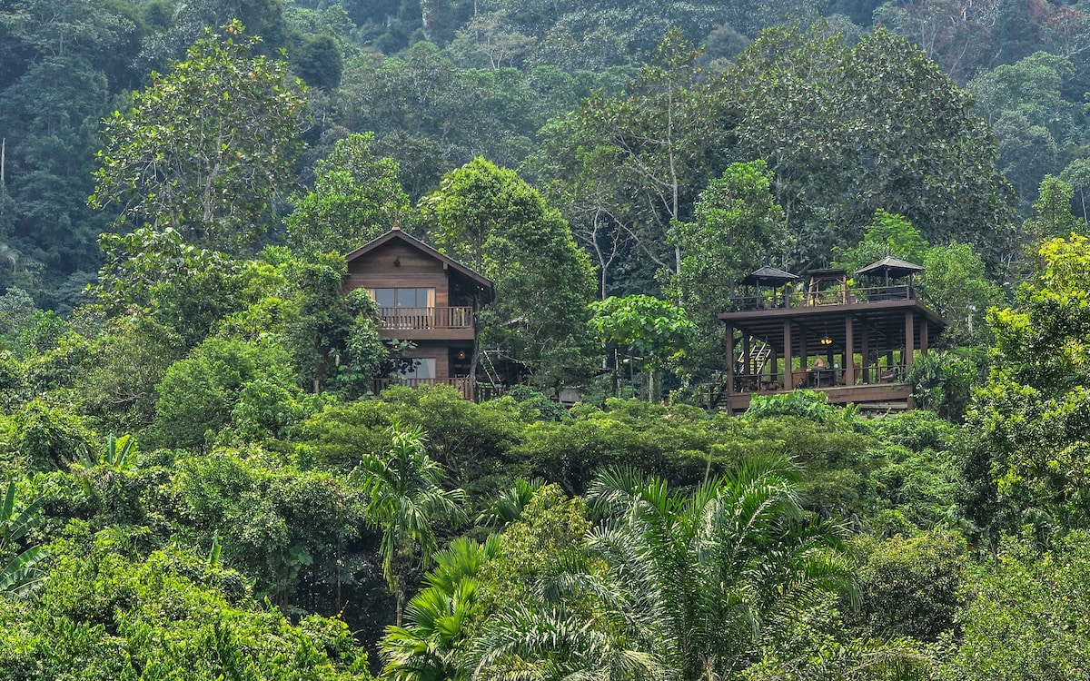 Templer Park Rainforest Retreat - Villa