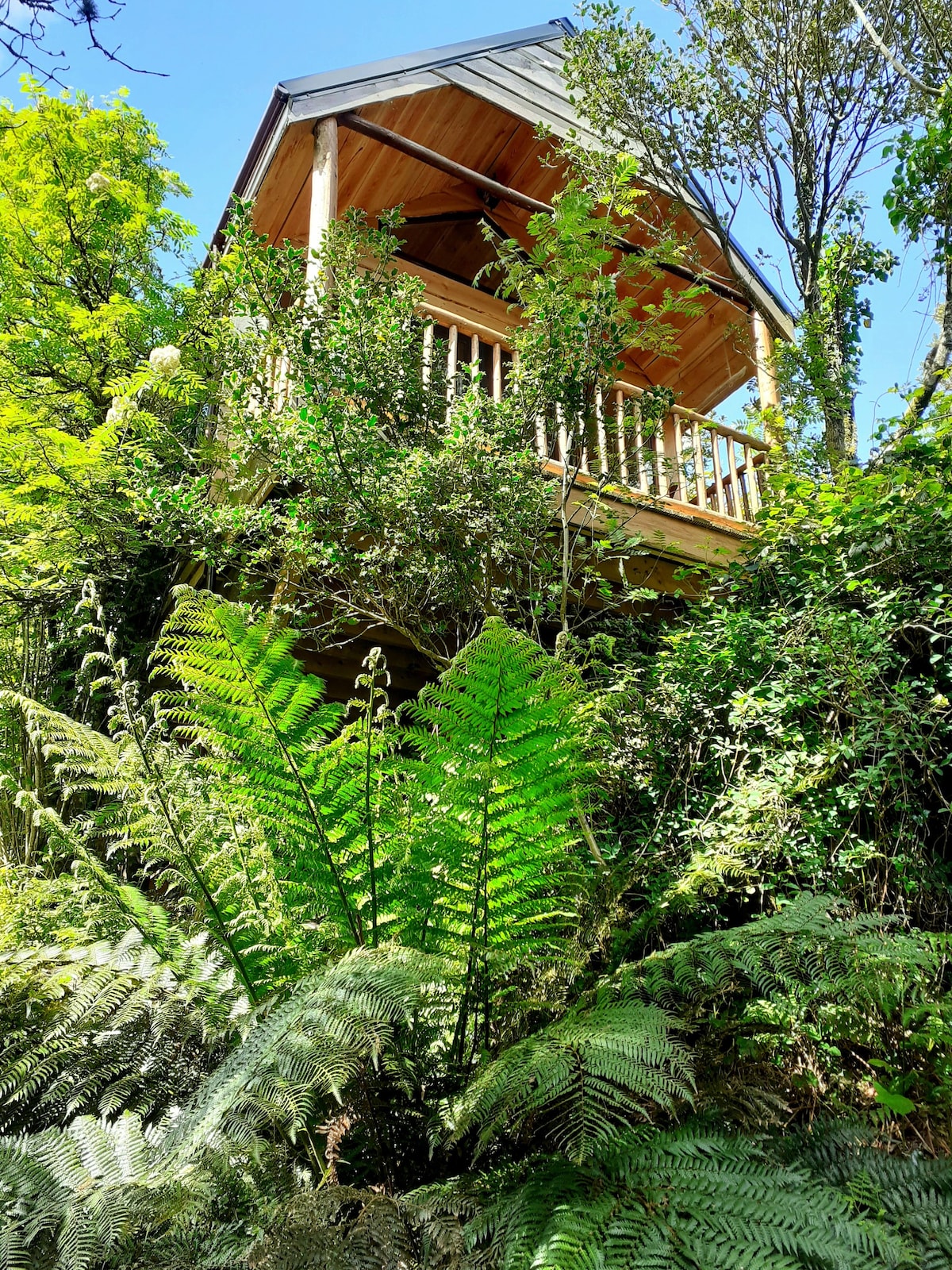 方舟牧场树屋，西科克热带雨林绿洲