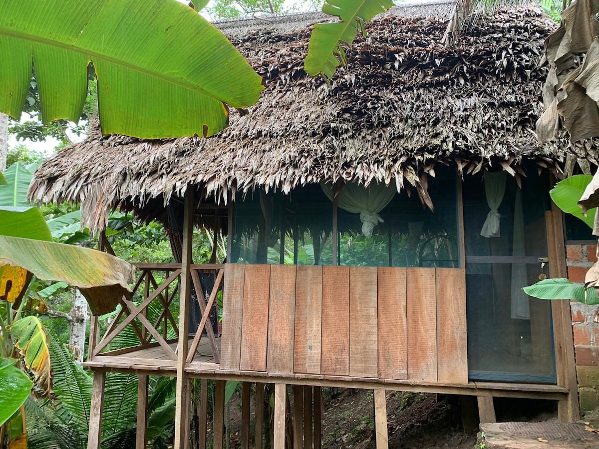 Jungle Stilts Tambo