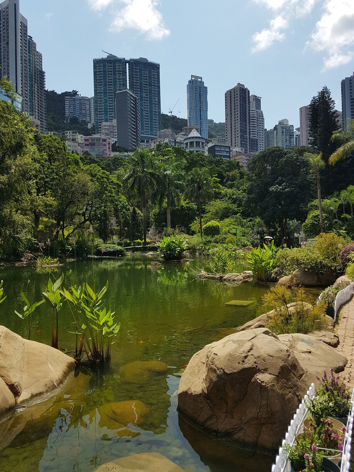 香港岛舒适公寓