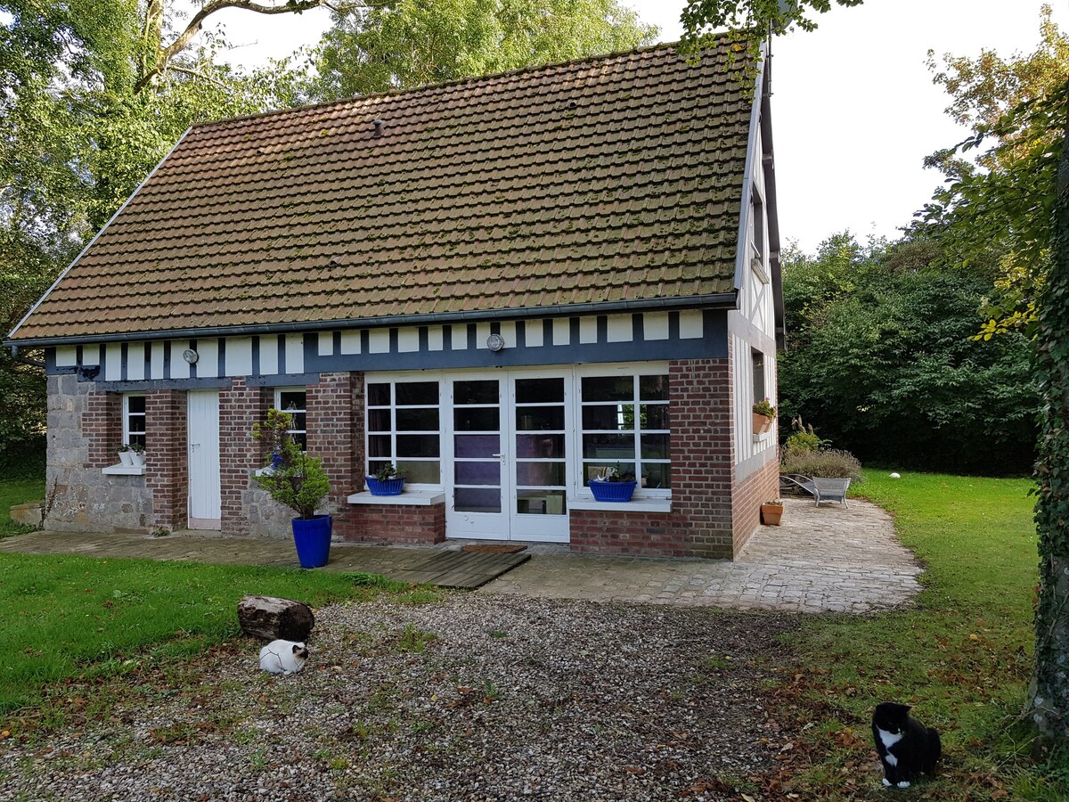 Gîte Le Chat Chez Qui JeHabite