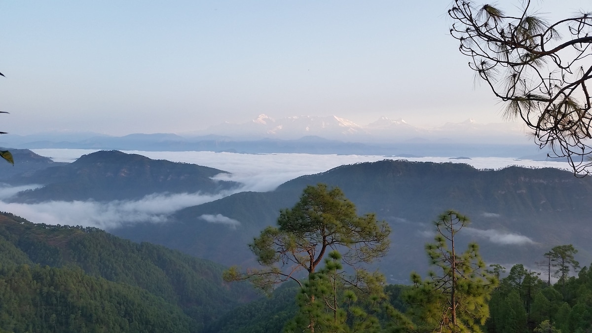 Binsar Wildlife Sanctuary - a Quaint Homestay