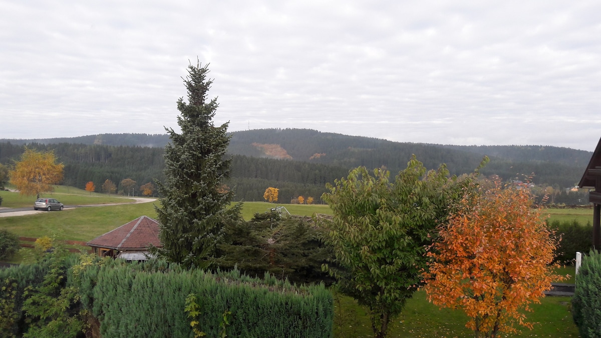 俯瞰美丽的埃尔兹比尔热（ Erzgebirge ）的公寓