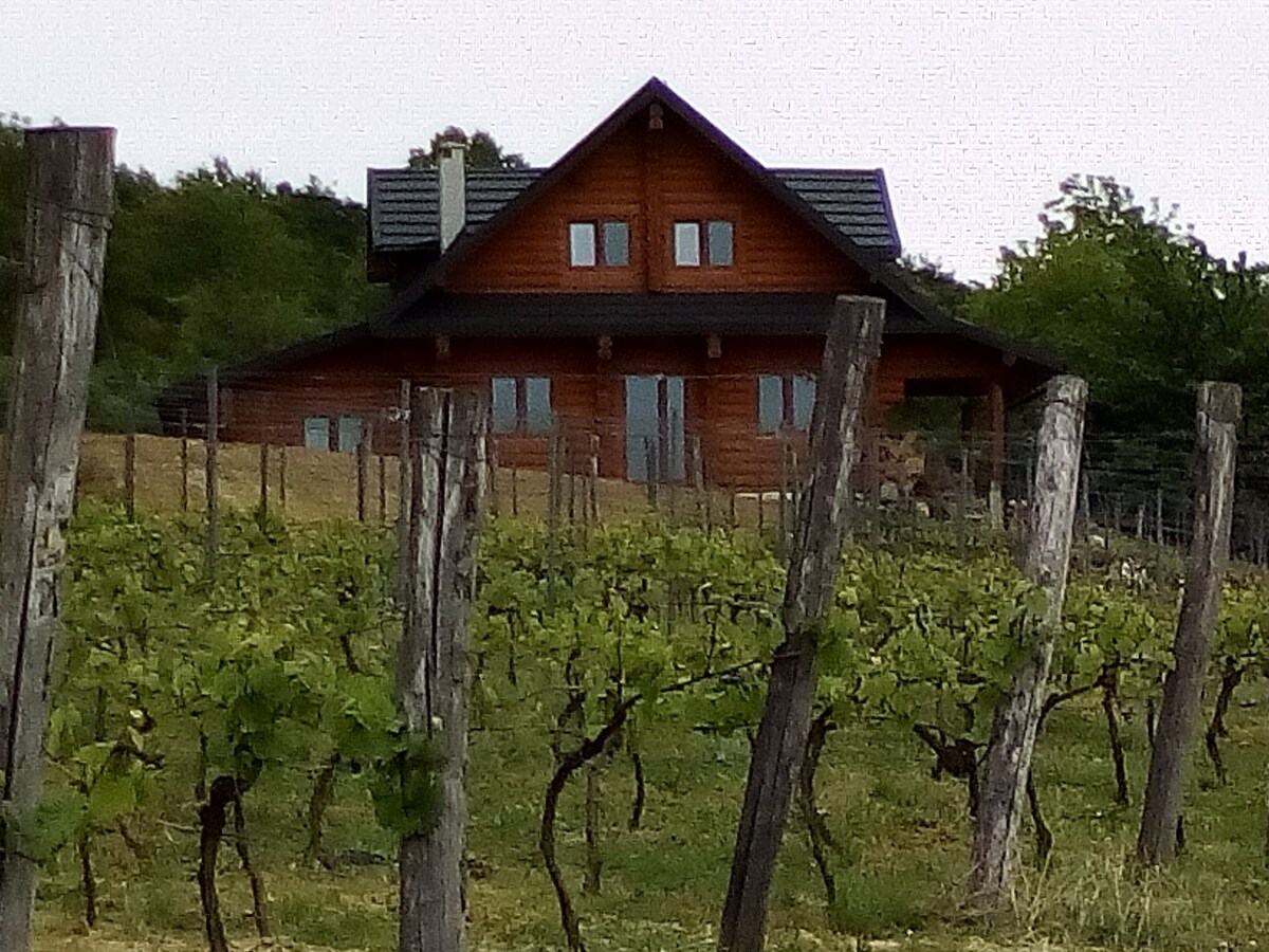 Uroczysko Vineyard的Agritourism