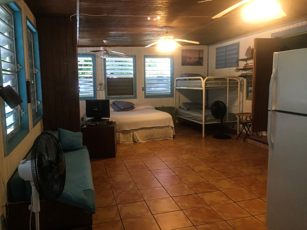 Large Efficiency Apartment at Casita Tropical