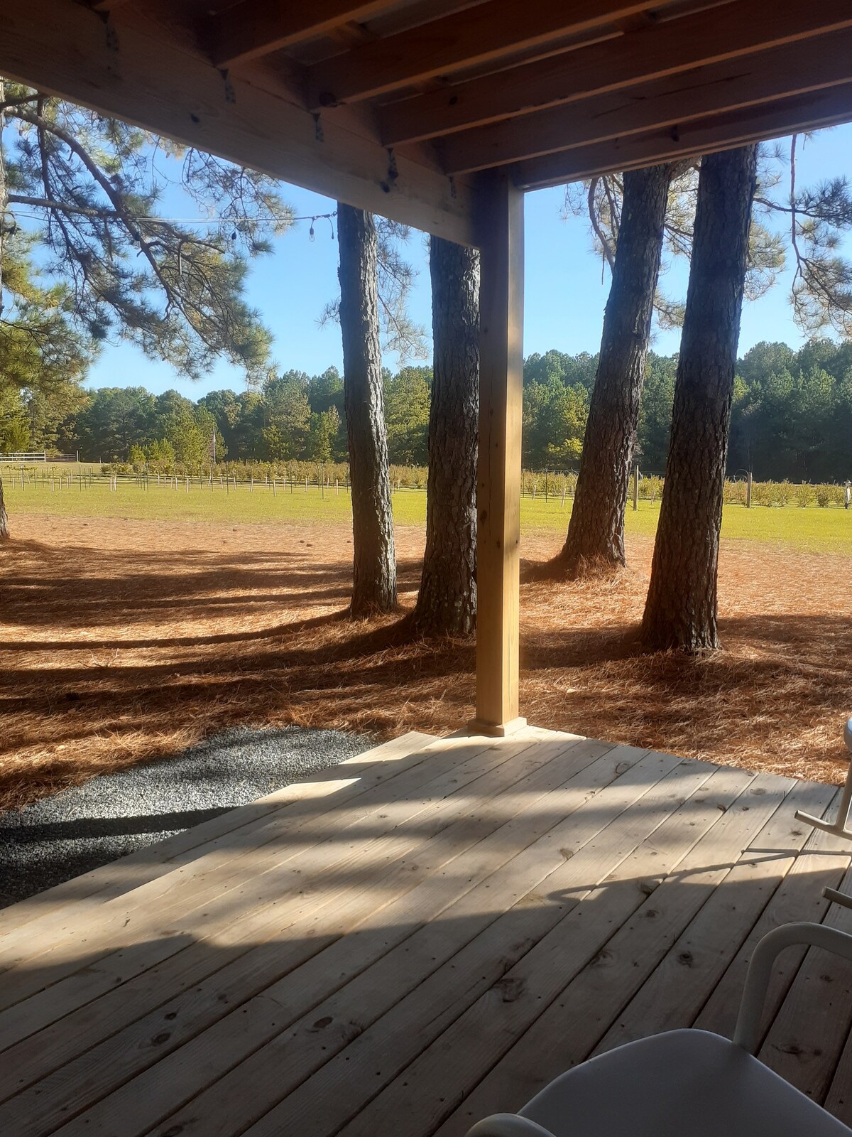 Farmview cabin