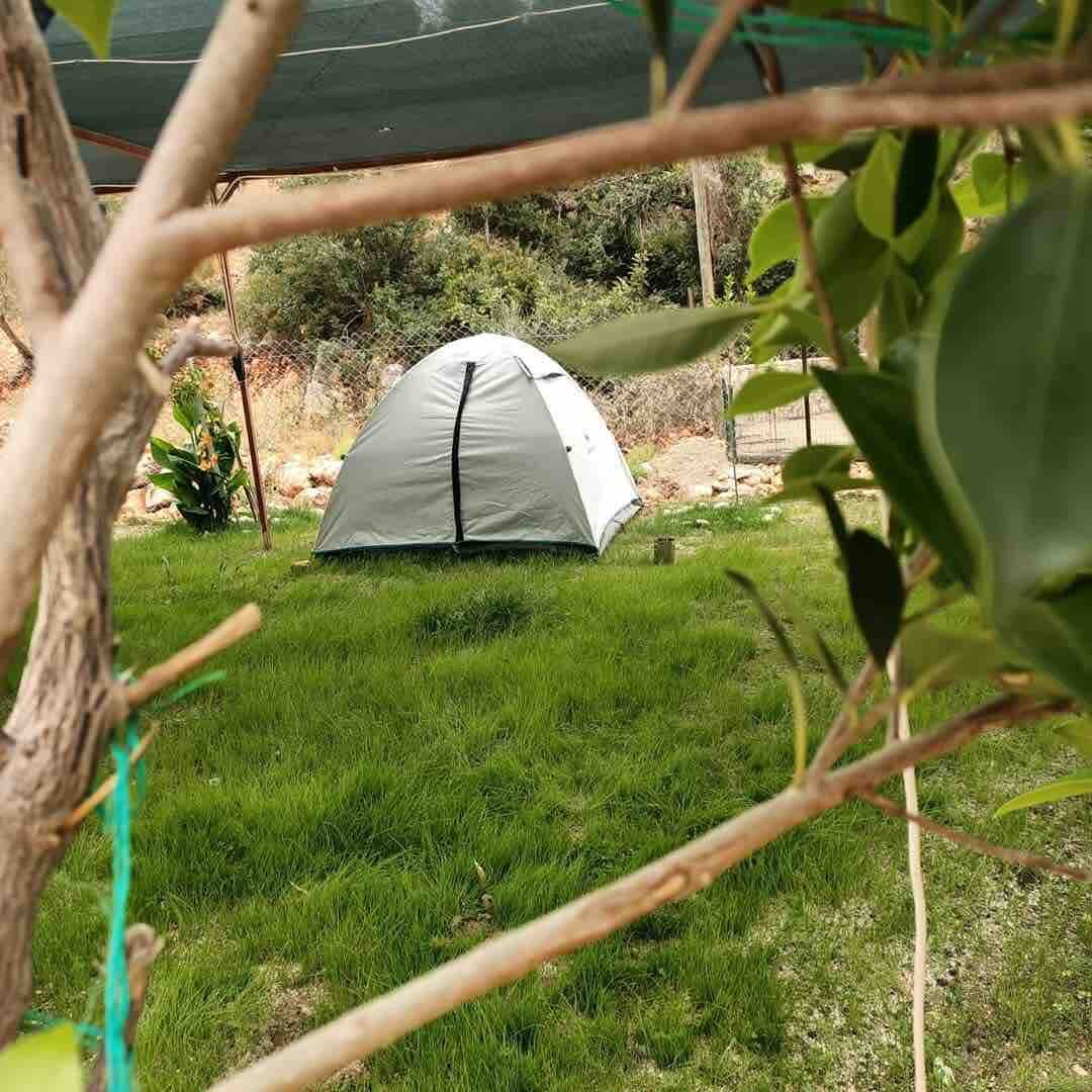 Tent3 & Camping