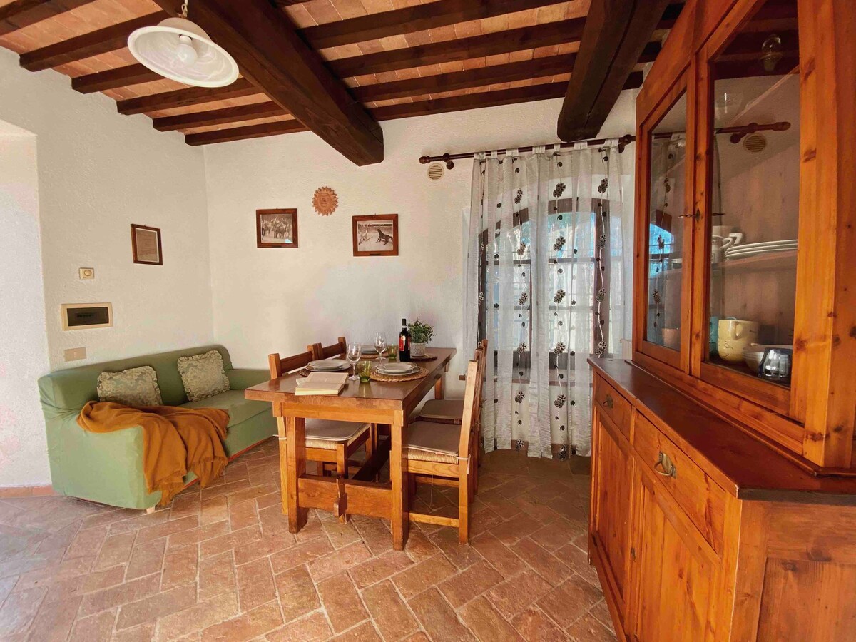 Apartment "IL GIRASOLE" - Podere Scopaione