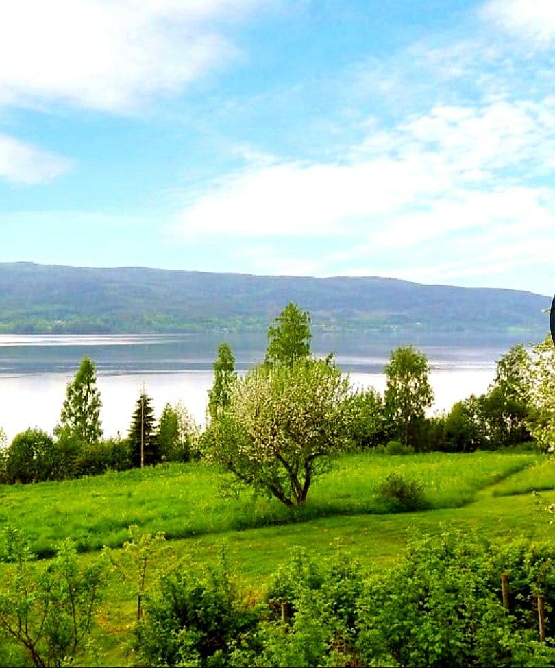 Svea Gaard ved Randsfjorden egen naturstrand, båt til leie,fine fiskemuligheter, deilig å bade,egen grill, hygge seg i boblebad ut i de sene timer, familievennlig, stor tomt med bær og frukt- bare å smake.. Svea Gaard et sted å chille....