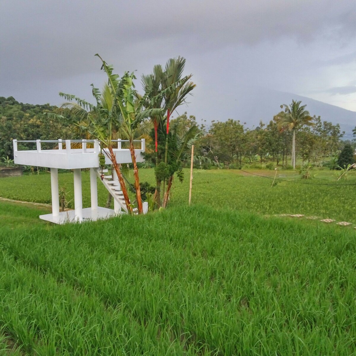 祝福之地- LOB Farmstay -平房