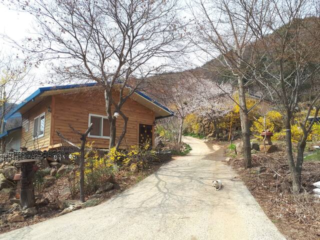 Buhang-myeon, Gimcheon的民宿