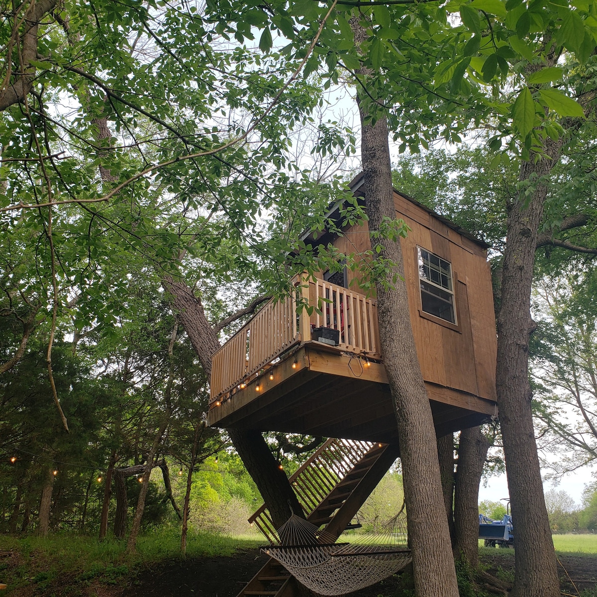 Treehouse on the Creek
