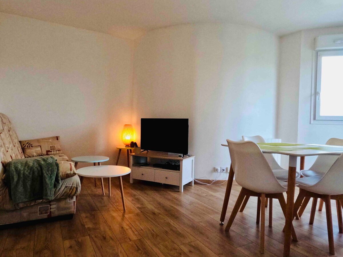 Appartement Cosy Joué-Les-Tours