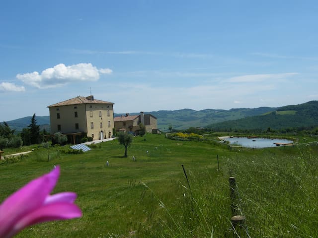 Castelnuovo di Val di Cecina的民宿