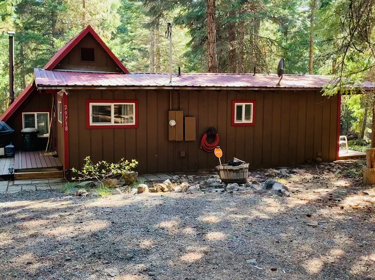 僻静的度假之旅：森林中的小木屋