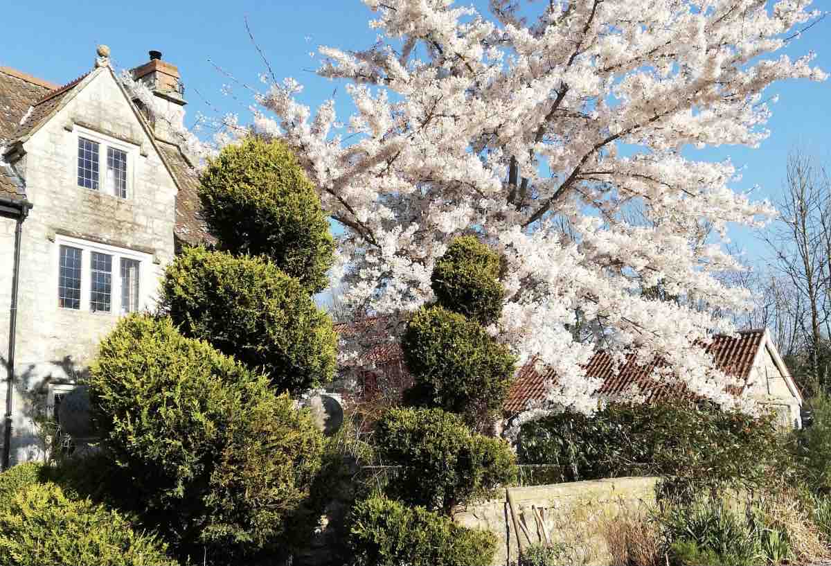 迷人的17世纪小屋