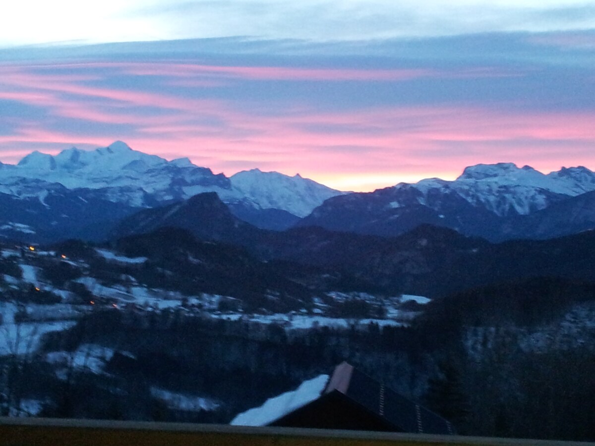 卓越的全景/Mont Blanc