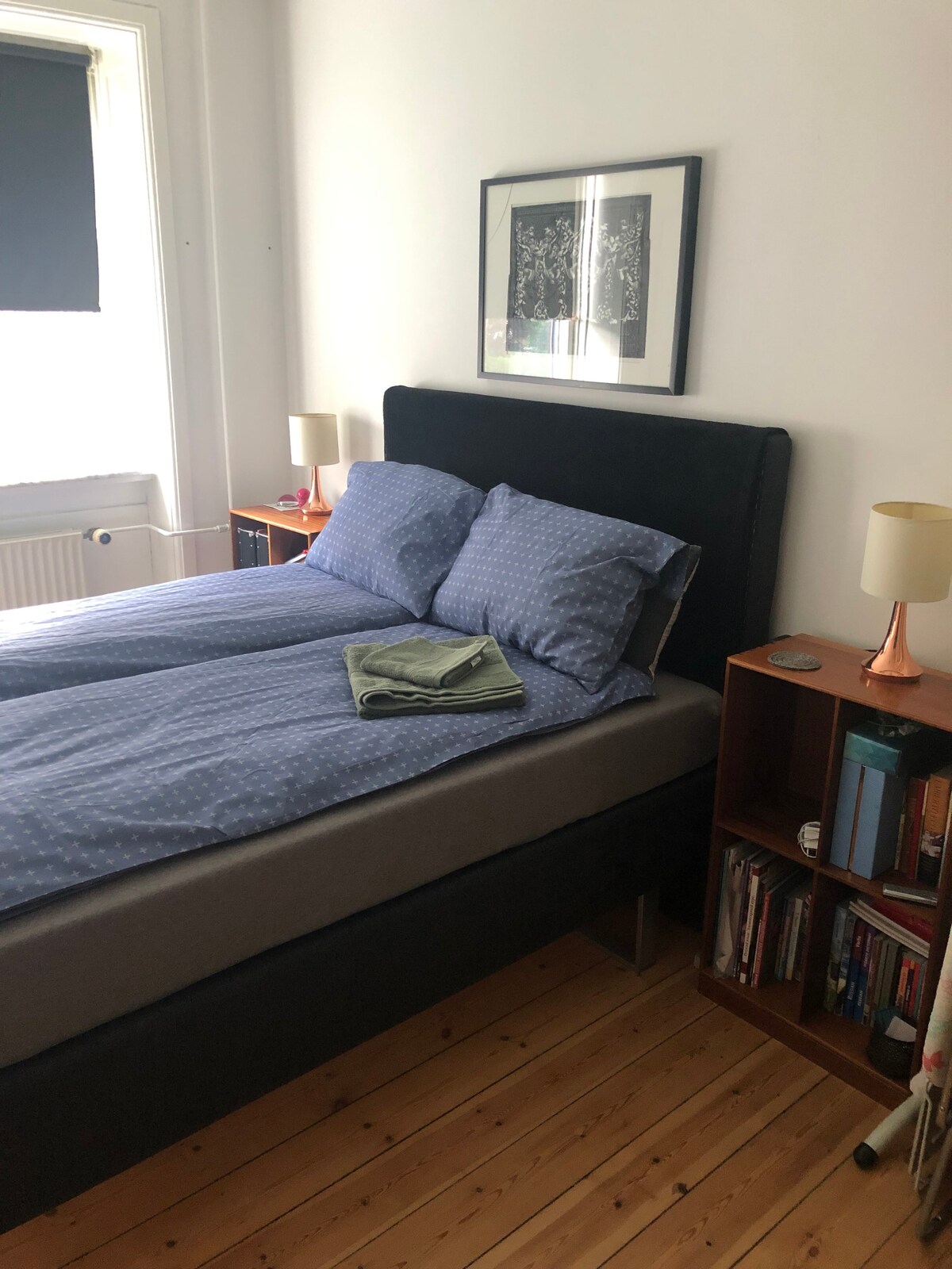 哥本哈根市中心舒适的两室公寓