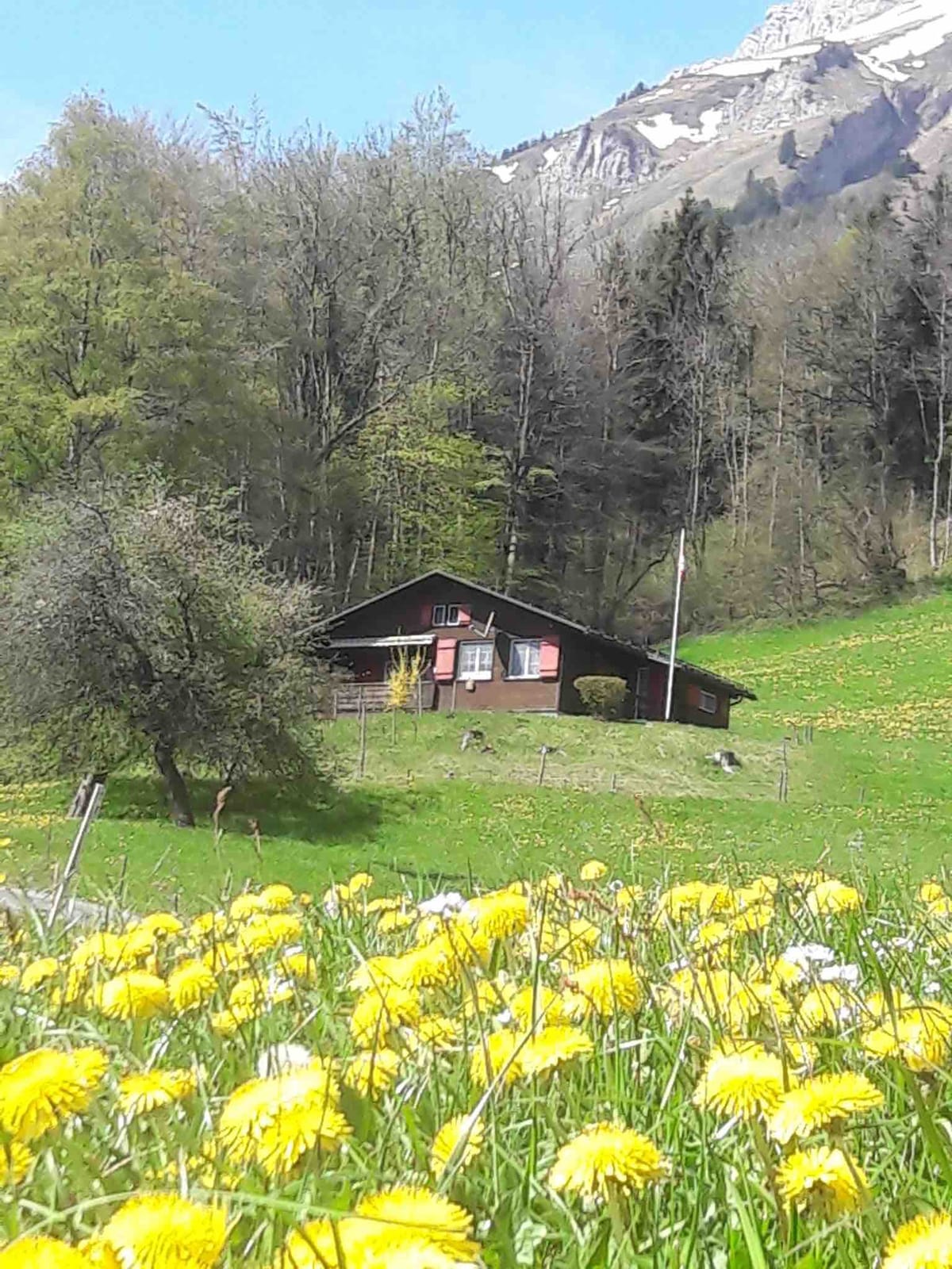 典型的瑞士度假木屋，海拔850米