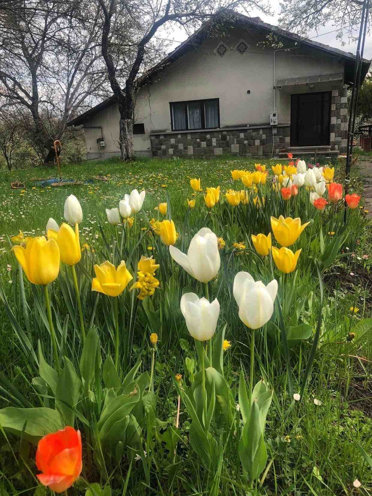 带果园和小溪的农村住宅（普拉霍瓦谷）