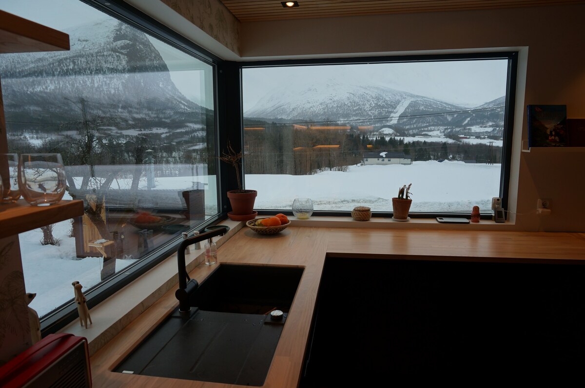 伊斯峡湾（ Isfjorden ）丰富的房子，景色迷人
