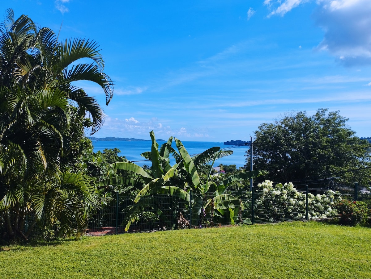 Grand appartement vue mer avec jardin et terrasse