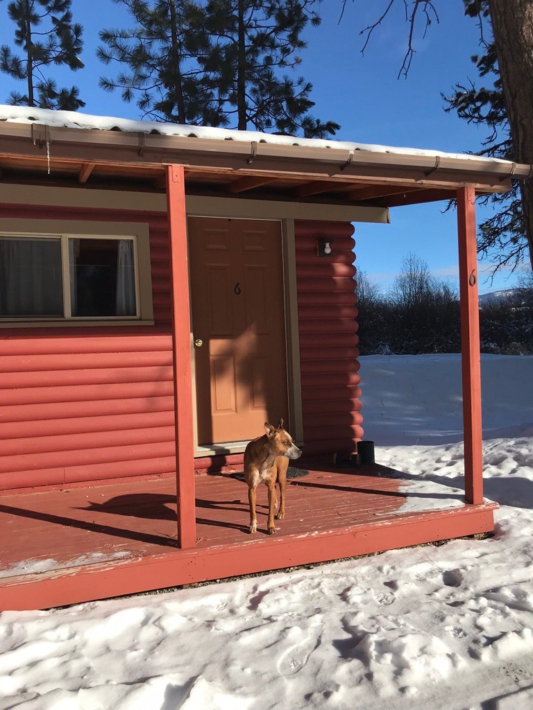 #7 Dry Cabin  Pet friendly cabin
