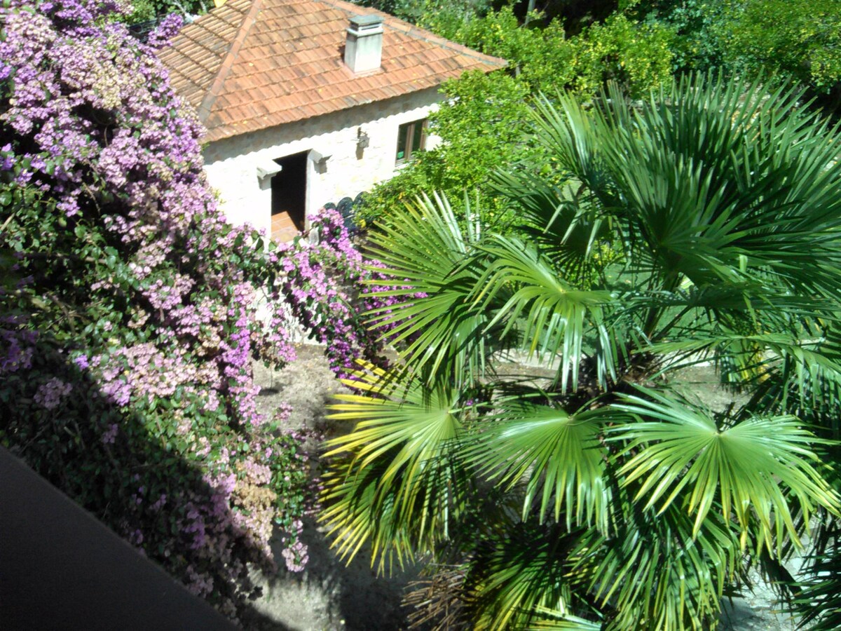 Casa do Sol Quinta de Rio Alcaide
