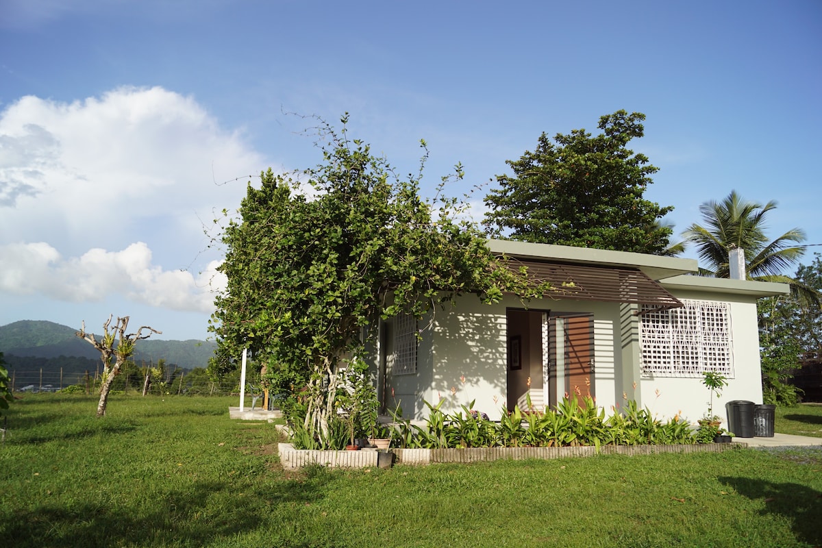 Casa Morivivi/舒适+院子+乡村景观