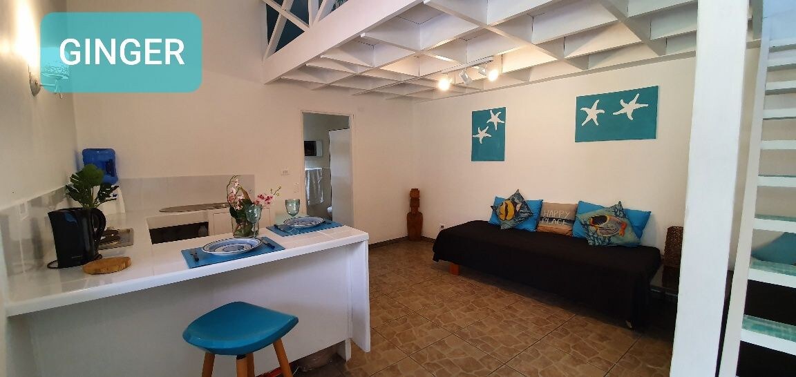 "CHEZ HIVA" : Duplex GINGER 9 -Town & Beach (2-4p)