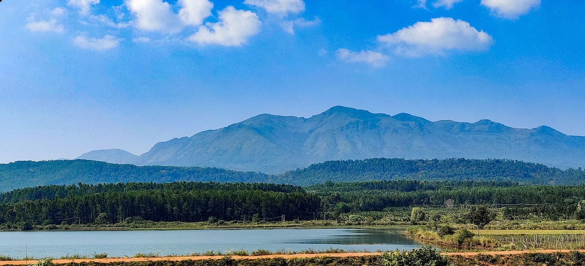 Peak by the Lake
Vacation Home