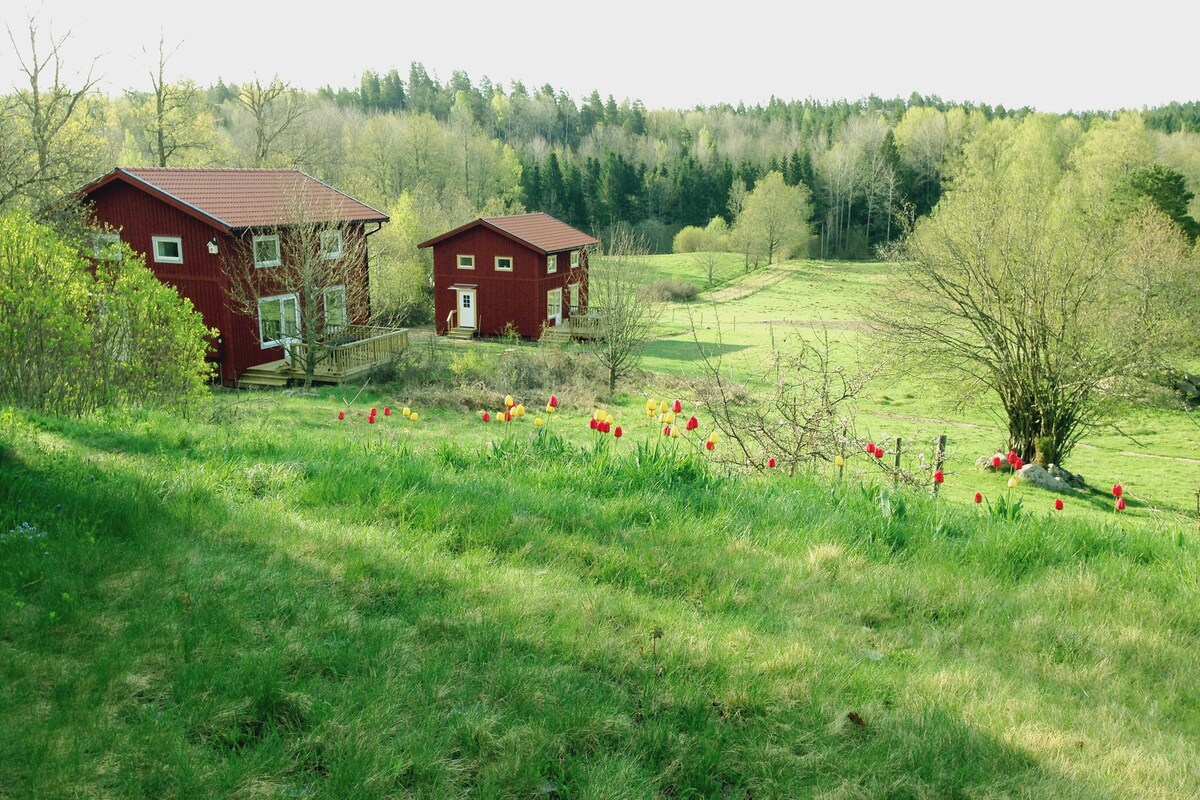 风景如画的农场上的乡村小屋