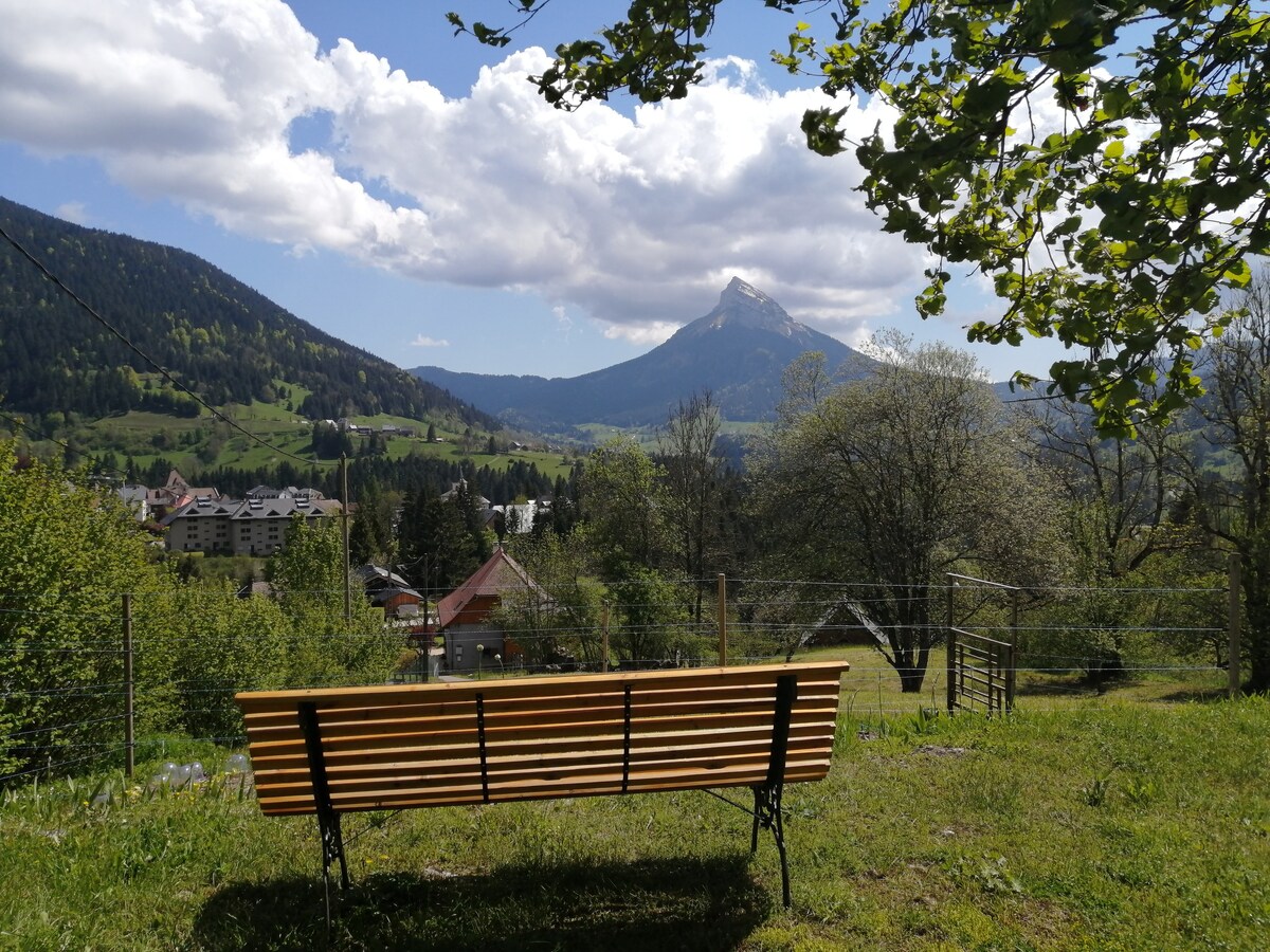 Maisonnette au cœur de la chartreuse