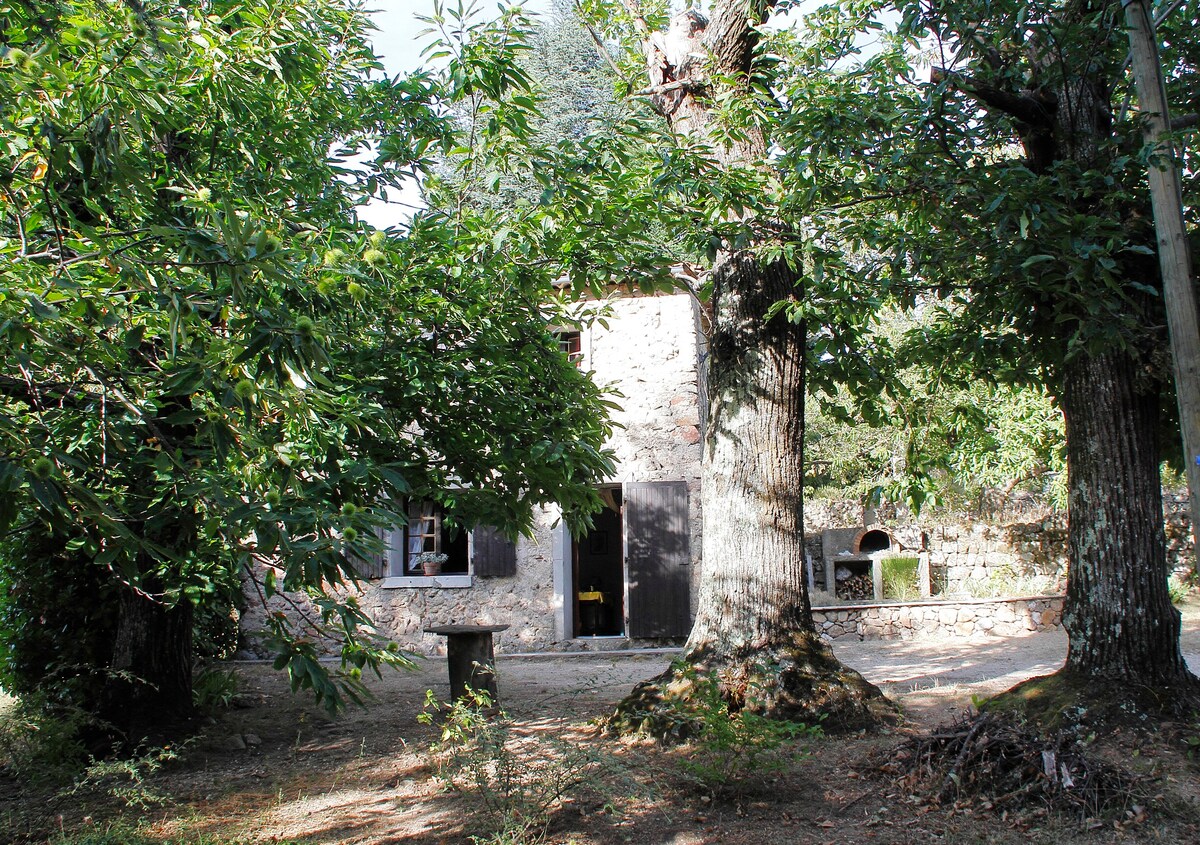 位于Cévènnes的独立别墅Bergerie。