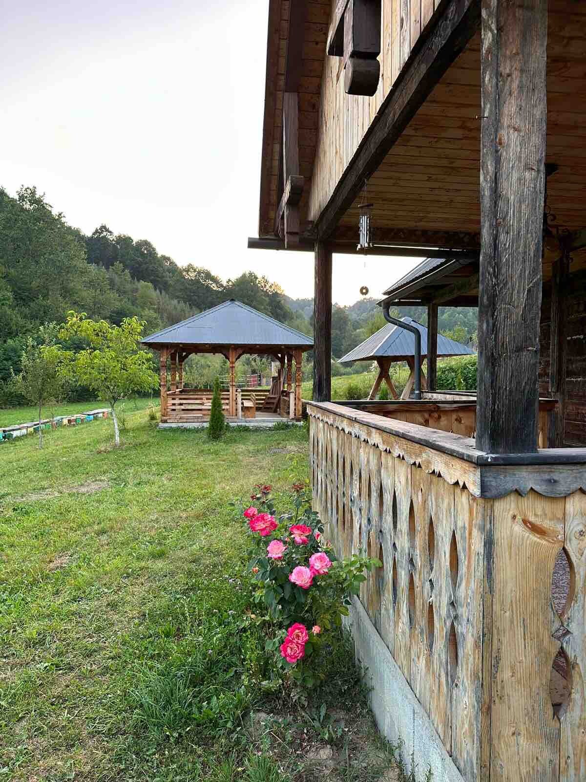 The Lake Cottage to the Mountain