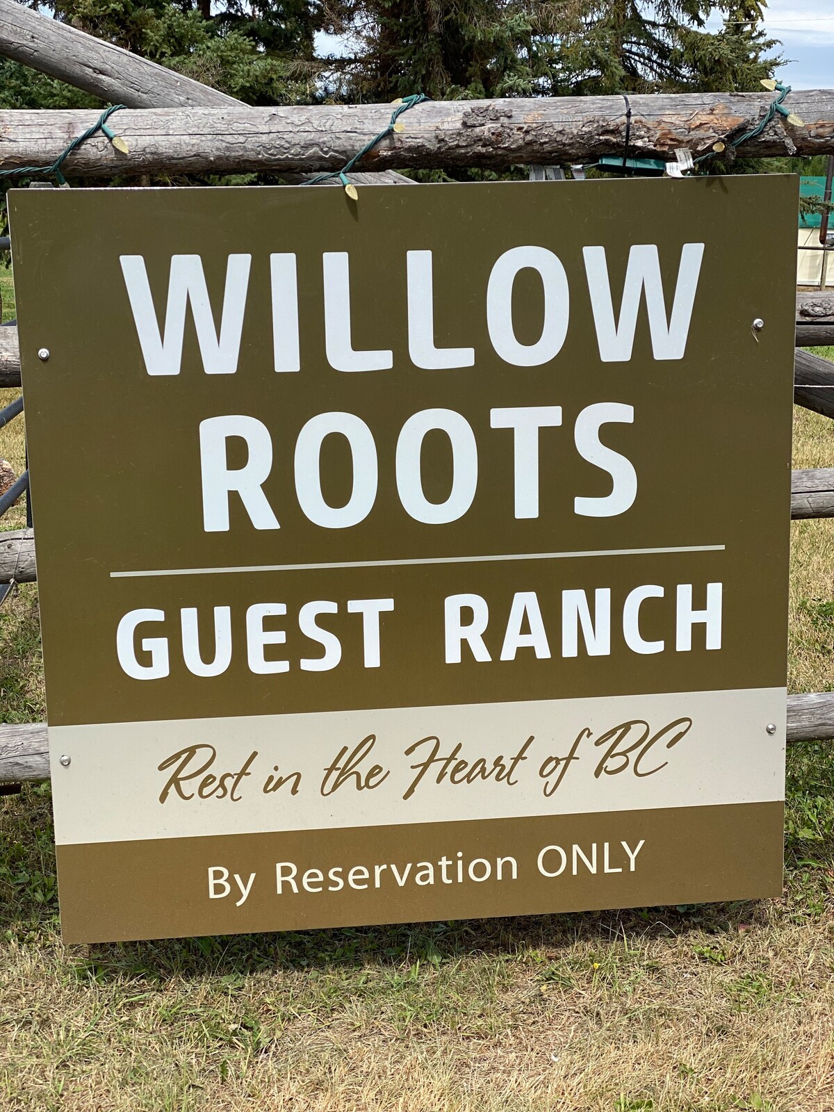 Willow Roots客人牧场-位于不列颠哥伦比亚省心脏地带休息