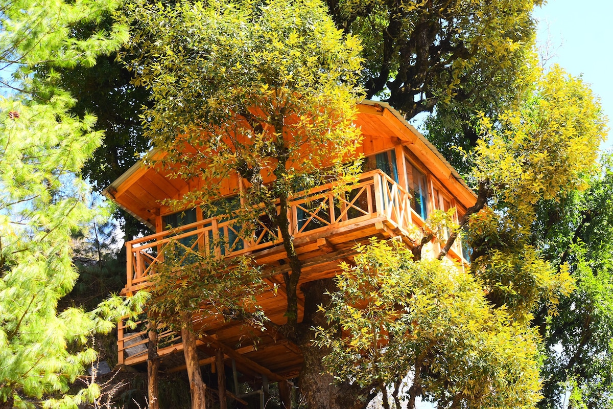 Whispering Pines Cottages | Treehut | Tandi