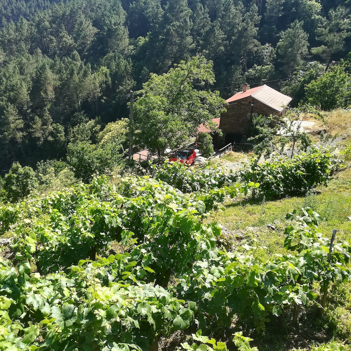 Casita del Río。乡村小屋，无与伦比的美景。