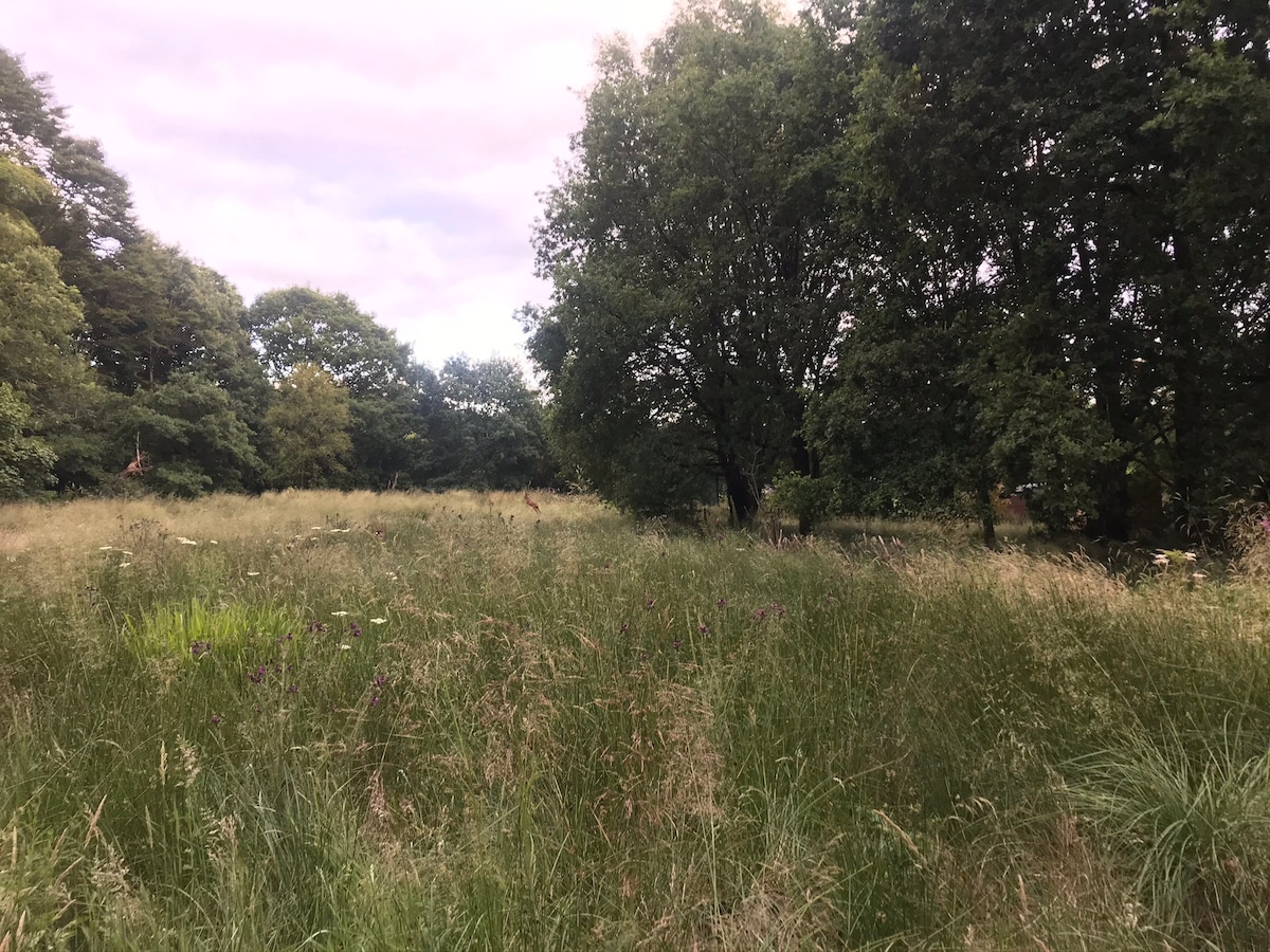 Quirky bothy in the heart of rural Rivington