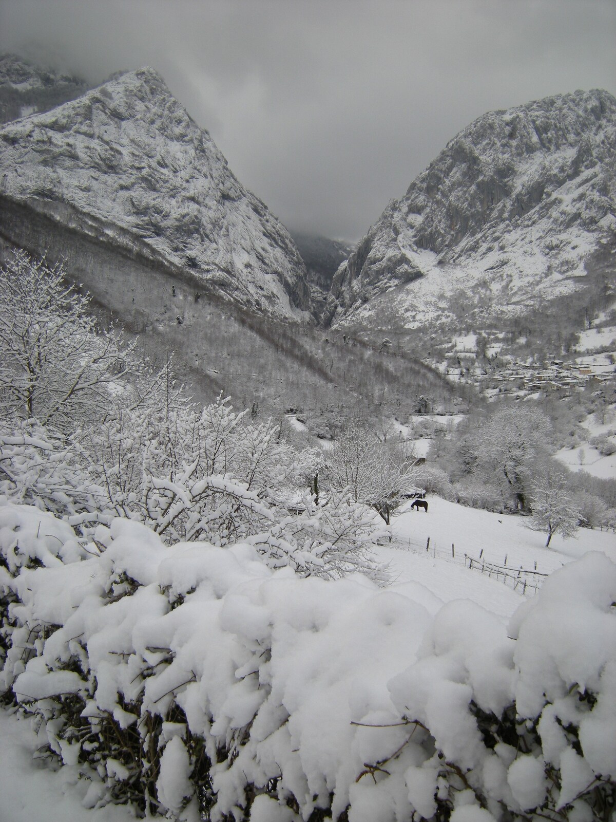 Claudia 's Horrín in Ponga自然公园