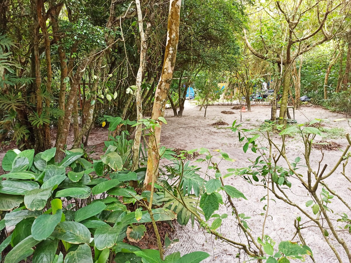 Camping arborizado Ilha do Mel