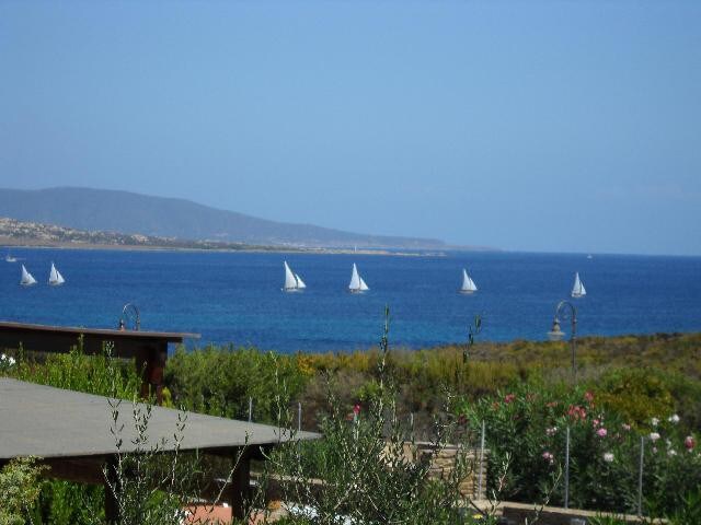 grat view Golfo dell'Asinara
