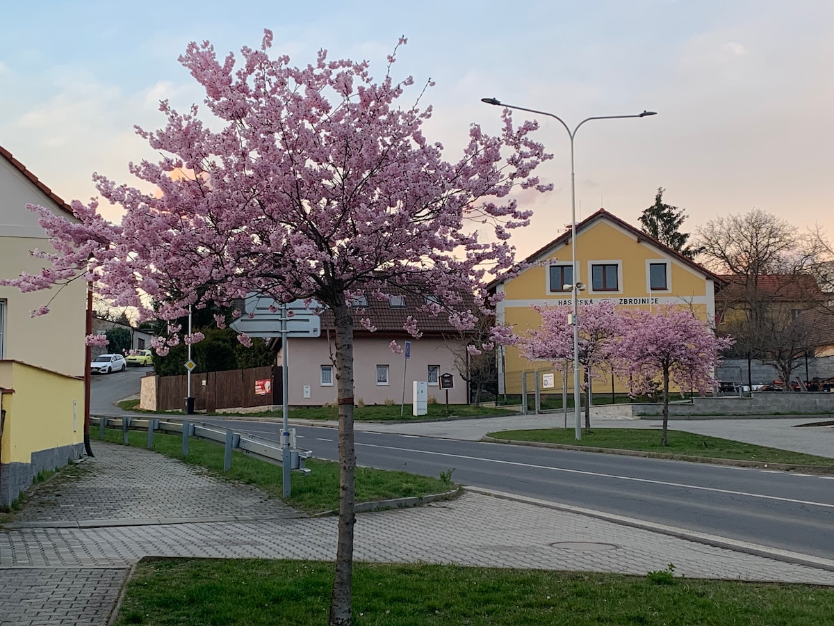 Na Vršku Plzeż Litice公寓