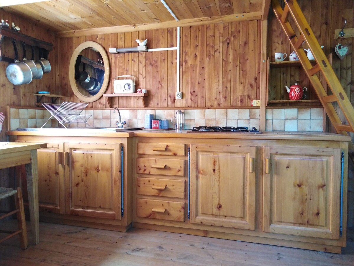 Chalet bucolique dans la forêt