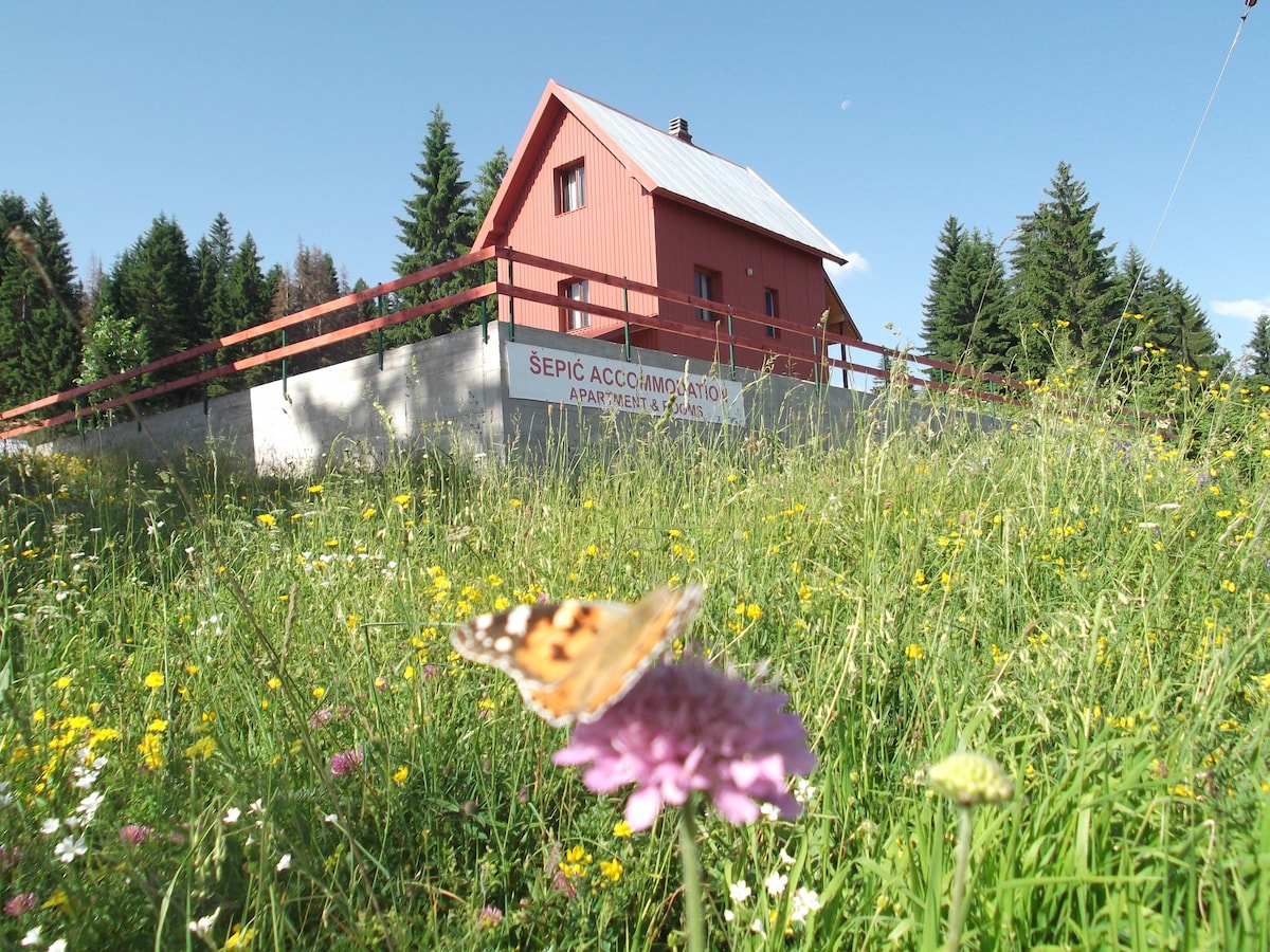 Šepić Accommodation -公寓