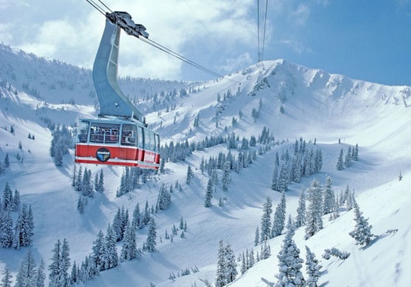 3 rooms, Snowbird Cliff Lodge, March 8-15, 2025