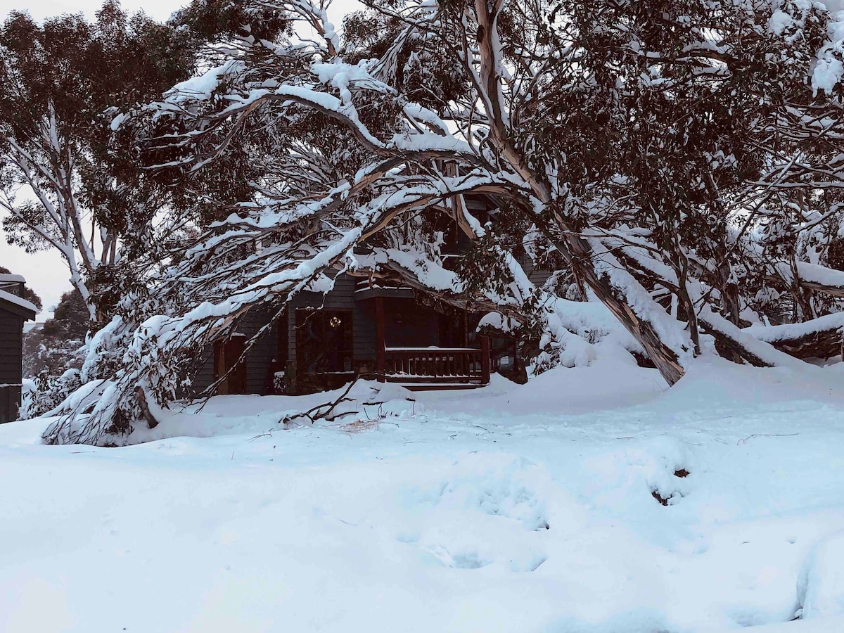 Snowmass  & Winterhaven Lodge Sleeps 12