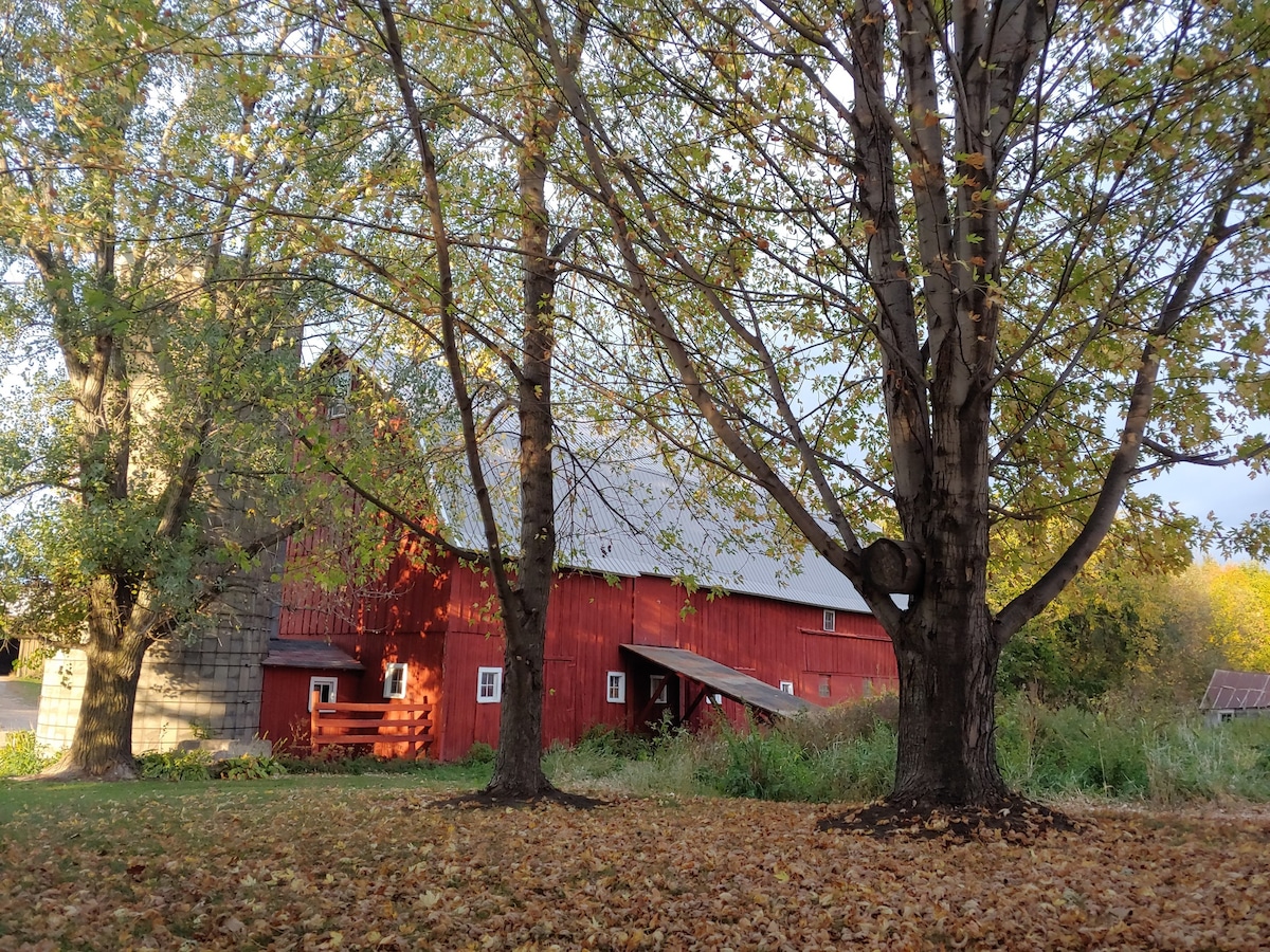 Farmhouse Retreat on 20 acre hobby farm
