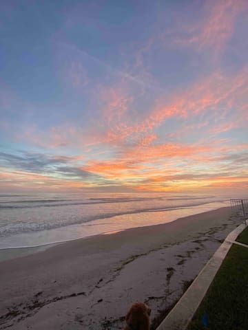 新士麦那海滩(New Smyrna Beach)的民宿